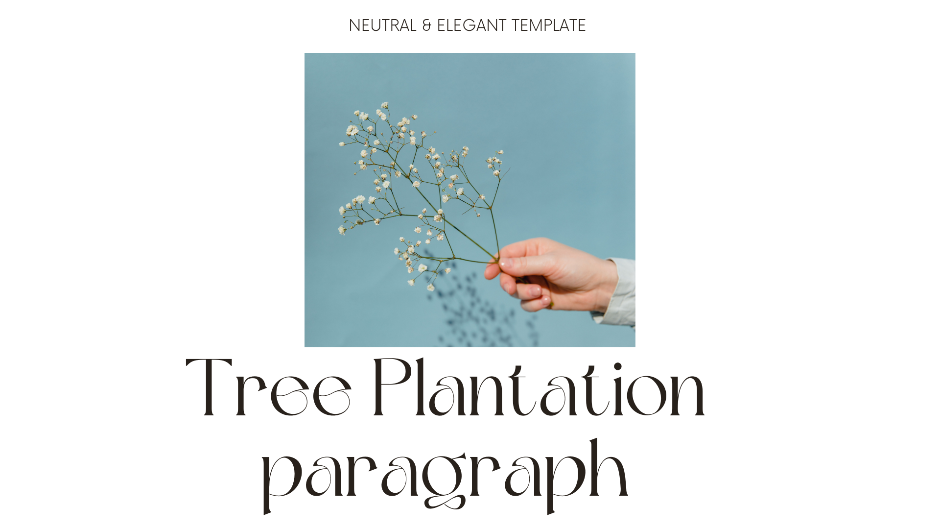 Tree Plantation paragraph