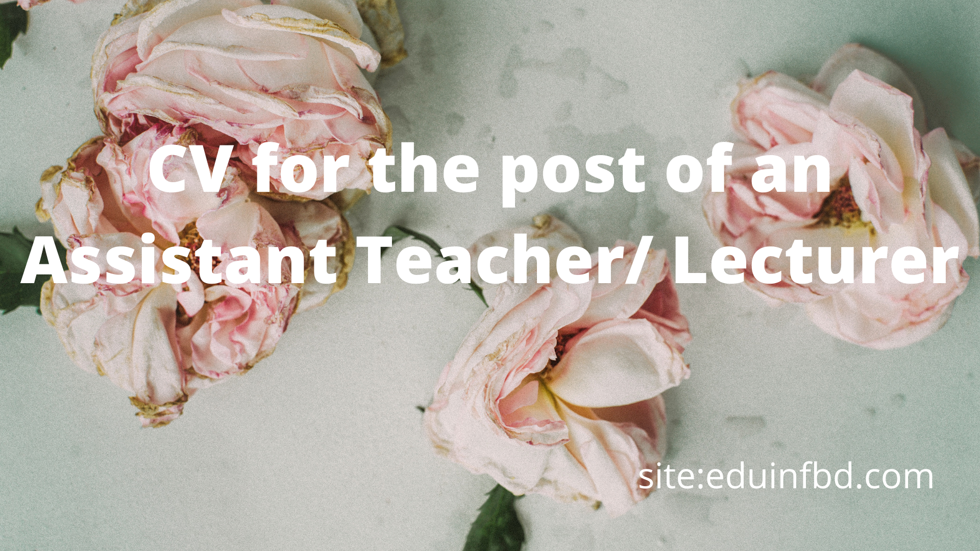 CV for the post of an Assistant Teacher Lecturer