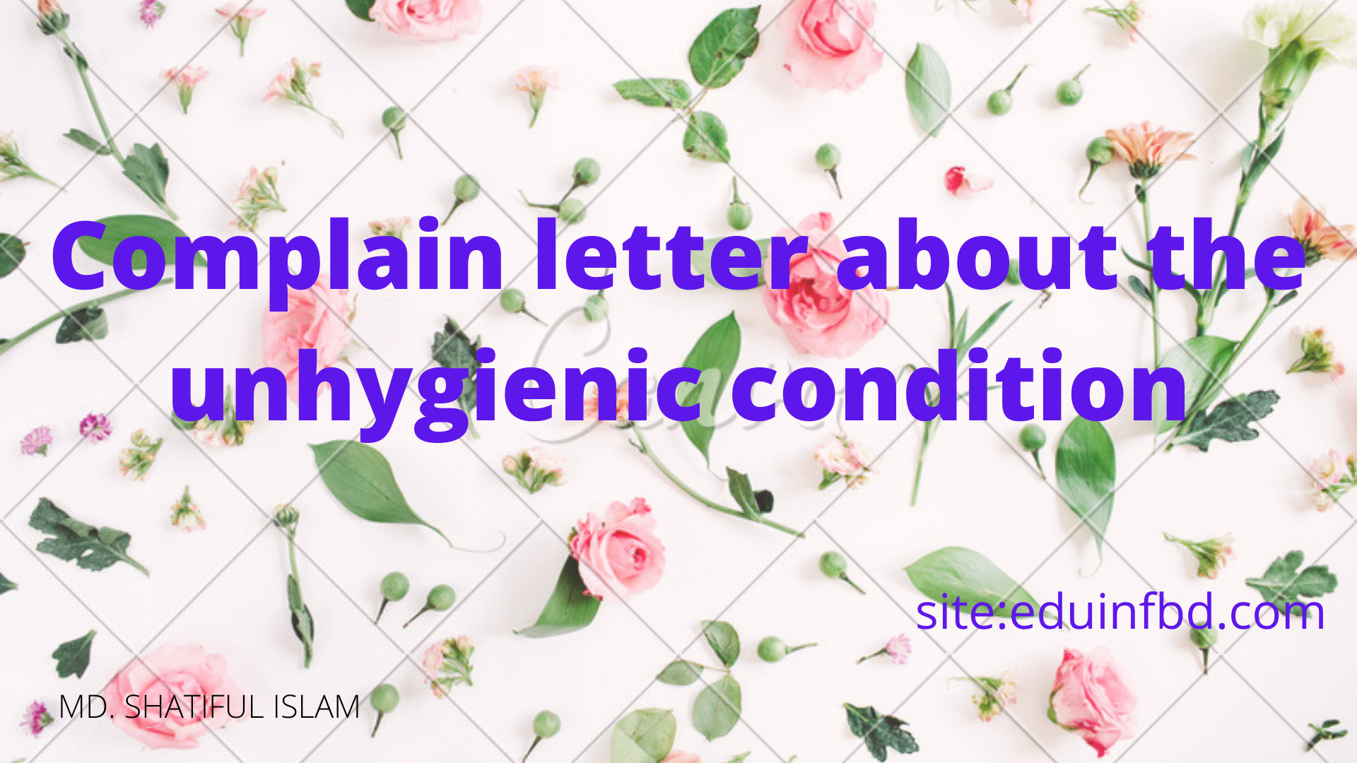 Complain letter about the unhygienic condition