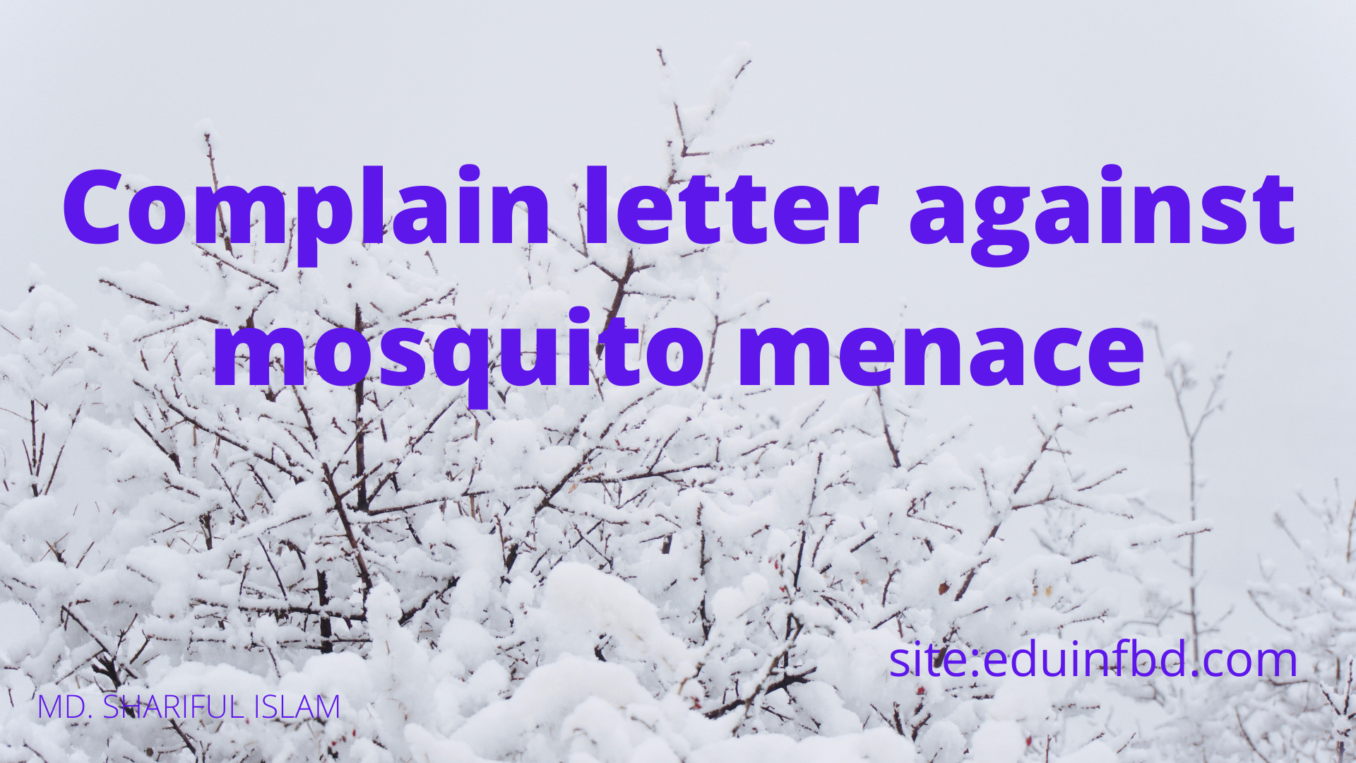 Complain letter against mosquito menace